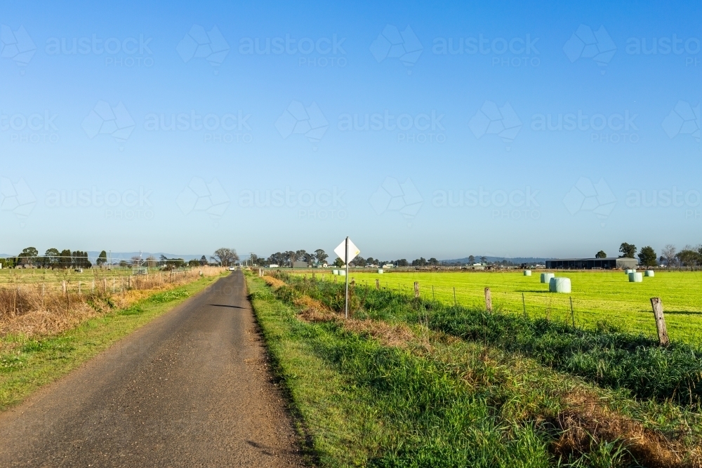 narrow country road through farm paddock on sunlit morning in Australia - Australian Stock Image