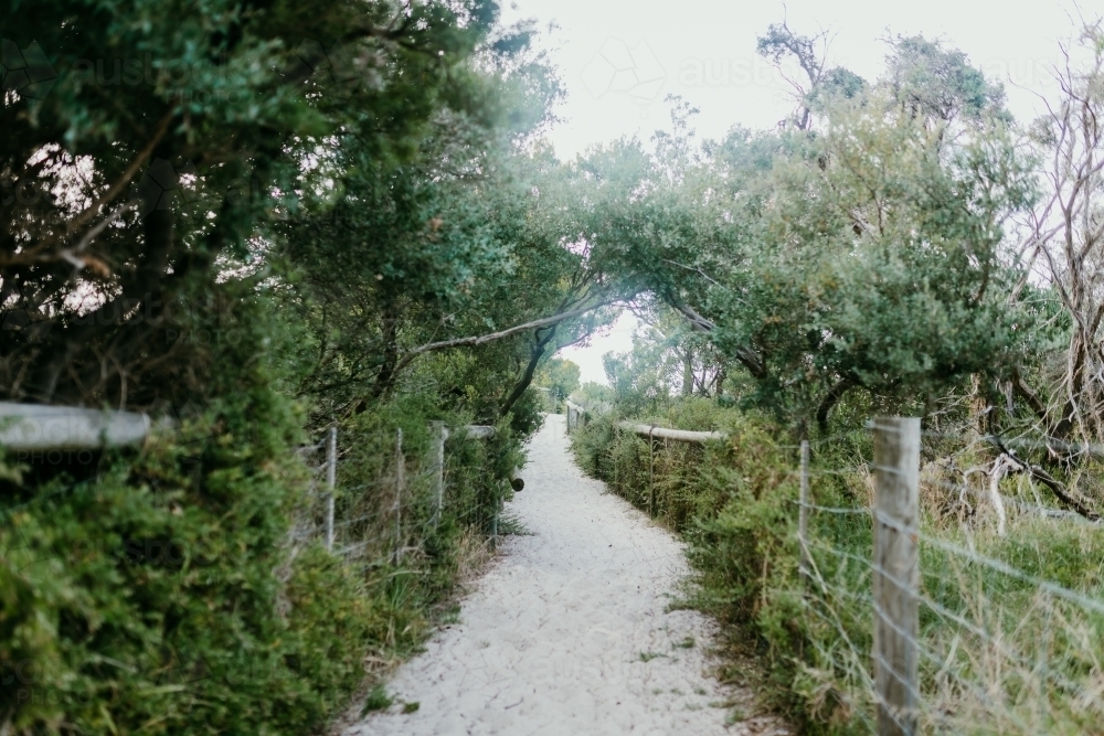 narrow path to beach - Australian Stock Image