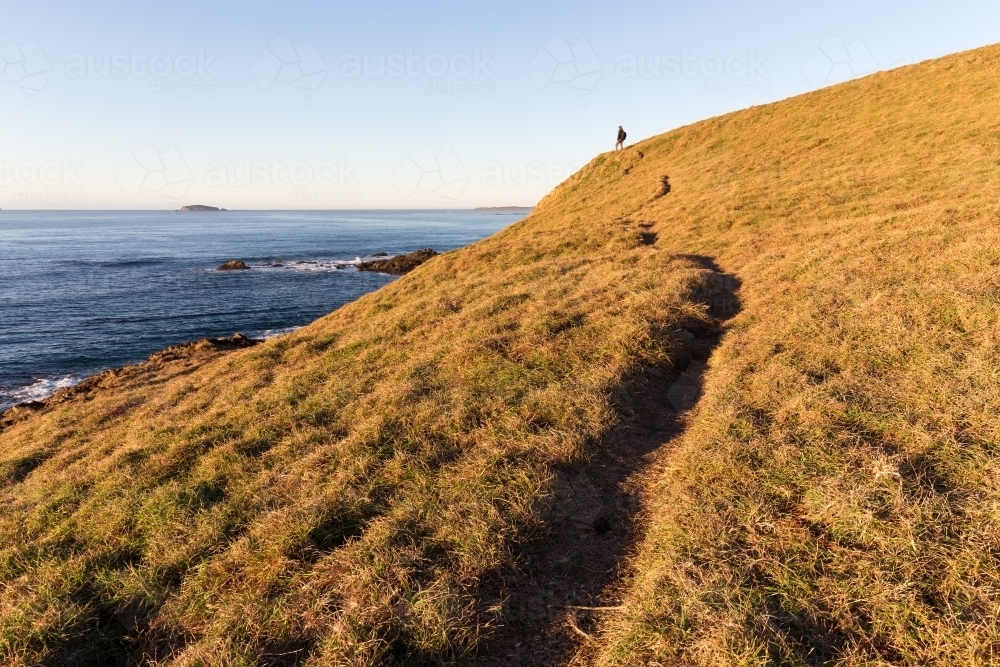 Narrow walking track on a grassy headland - Australian Stock Image