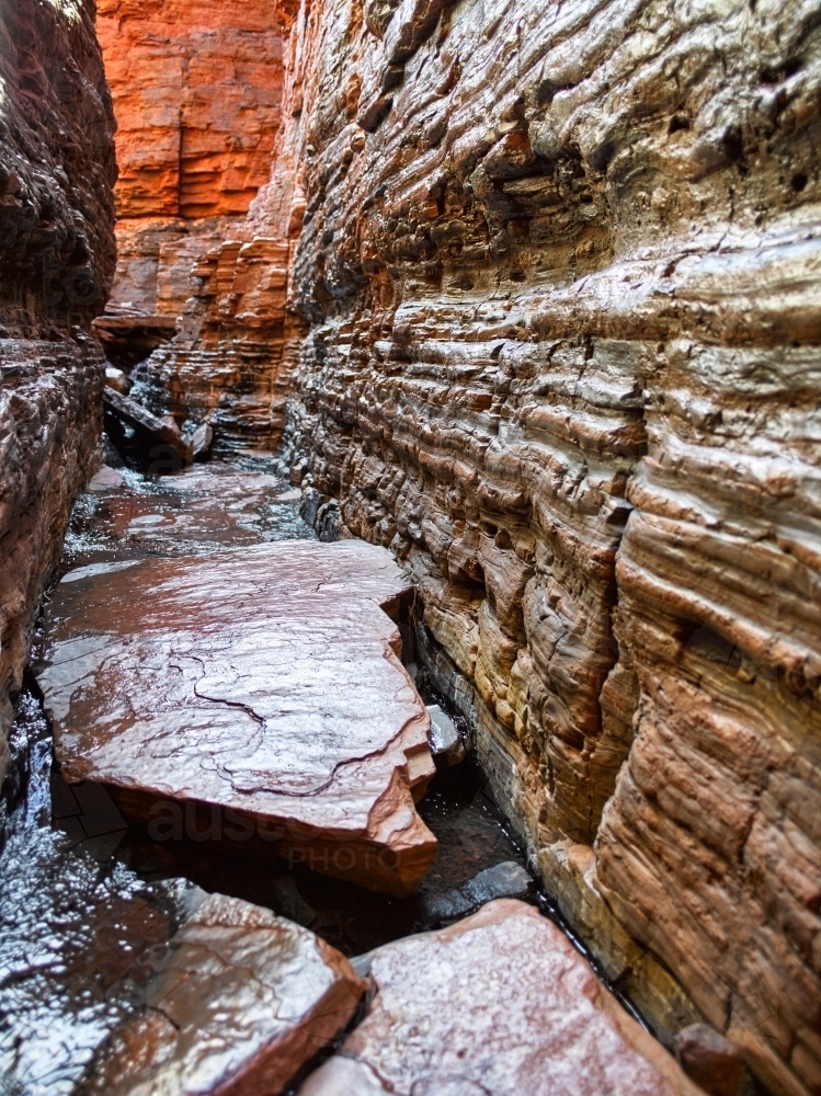 Narrow walking trail through a remote gorge - Australian Stock Image