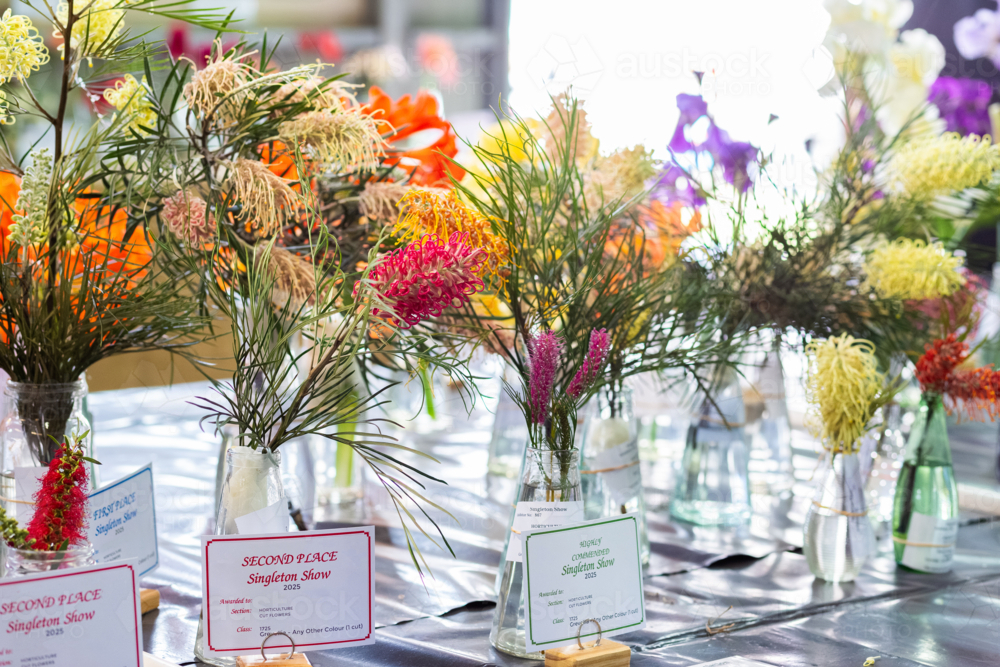Image of Native Australian flower entries in horticulture exhibition at ...