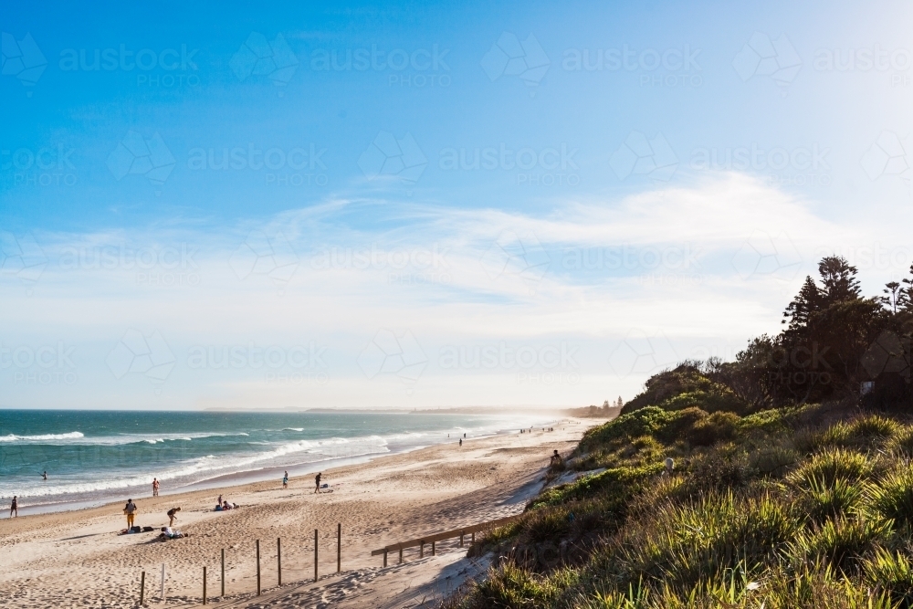 Native beach plants and flora meet the sand of a long beach shared with groups of people in summer. - Australian Stock Image