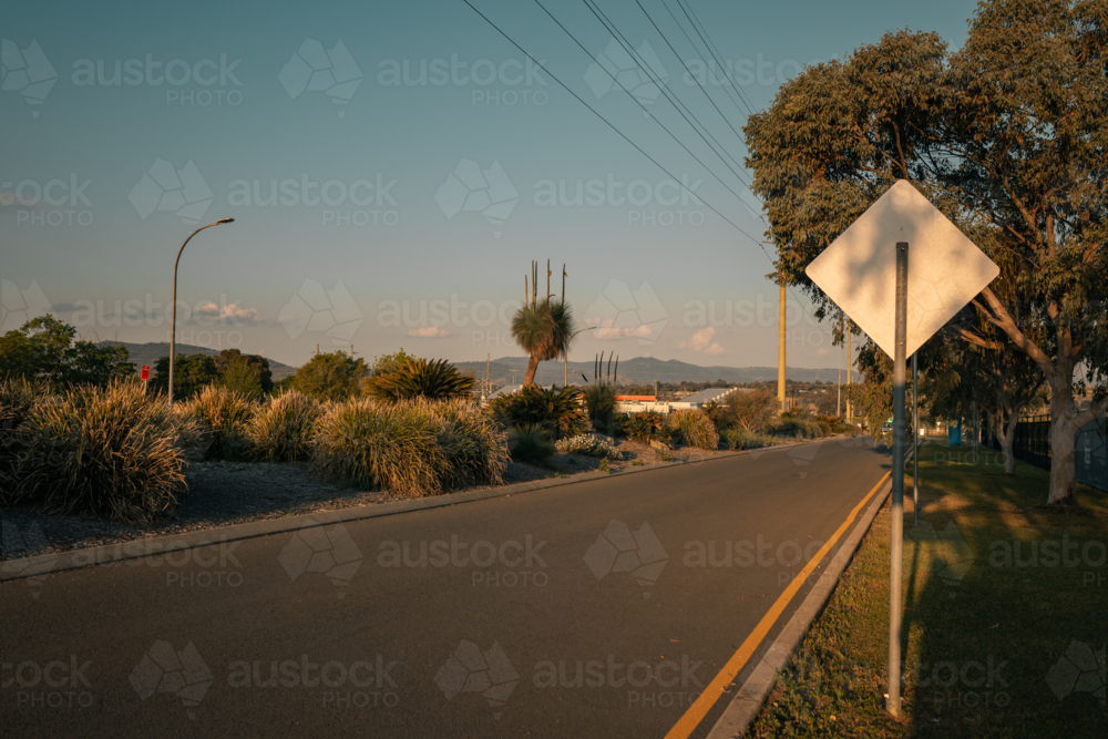 Native plants growing in median strip along quiet street in Tamworth NSW - Australian Stock Image