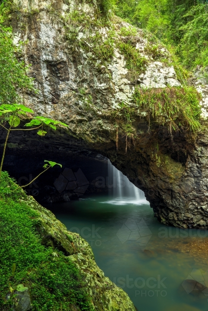 Image of Natural Bridge waterfall in Springbrook National Park ...