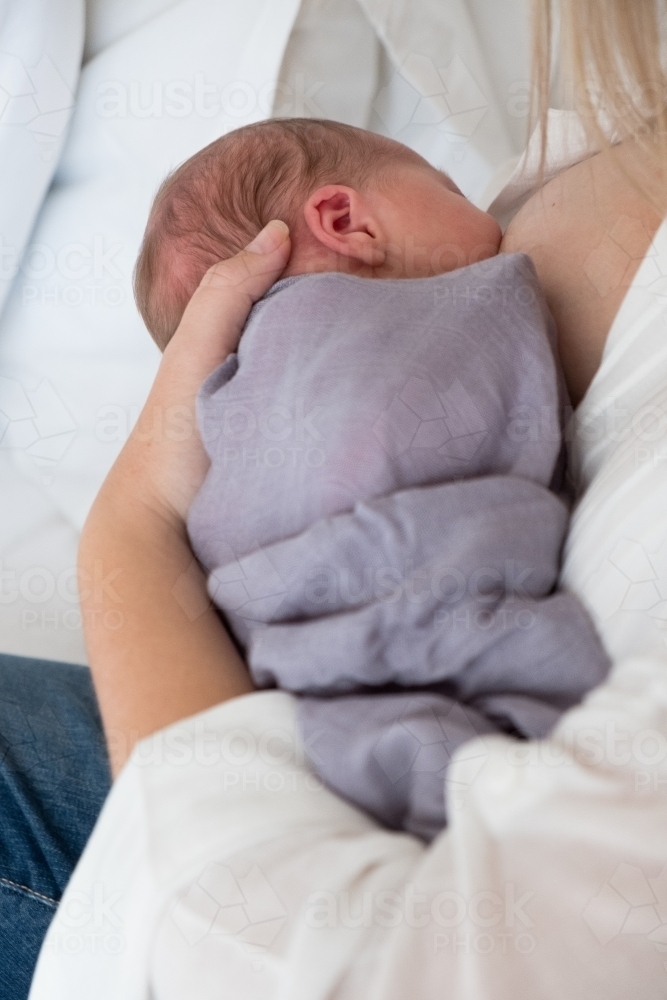 new born baby breast feeds. - Australian Stock Image
