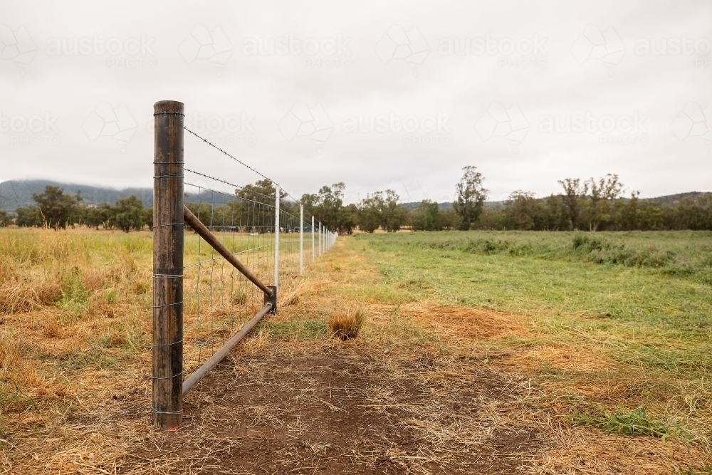 New fence and strainer in a paddock - Australian Stock Image
