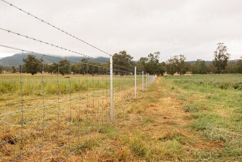 New livestock fence built in green paddock - Australian Stock Image