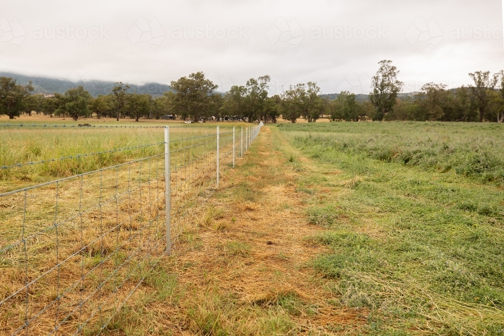 New paddock fencing on a farm - Australian Stock Image