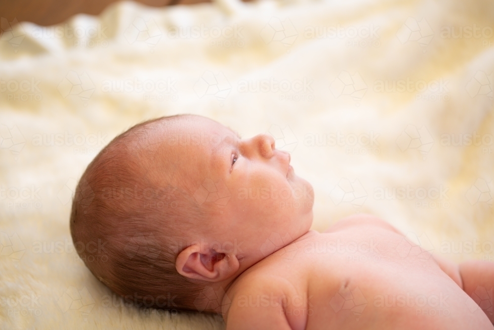 Newborn baby laying on back on blanket - Australian Stock Image
