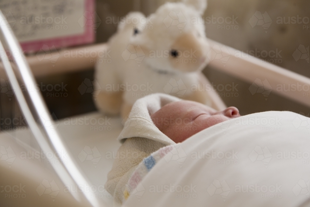 newborn baby wrapped in a blanket in a crib with a toy lamb at hospital - Australian Stock Image