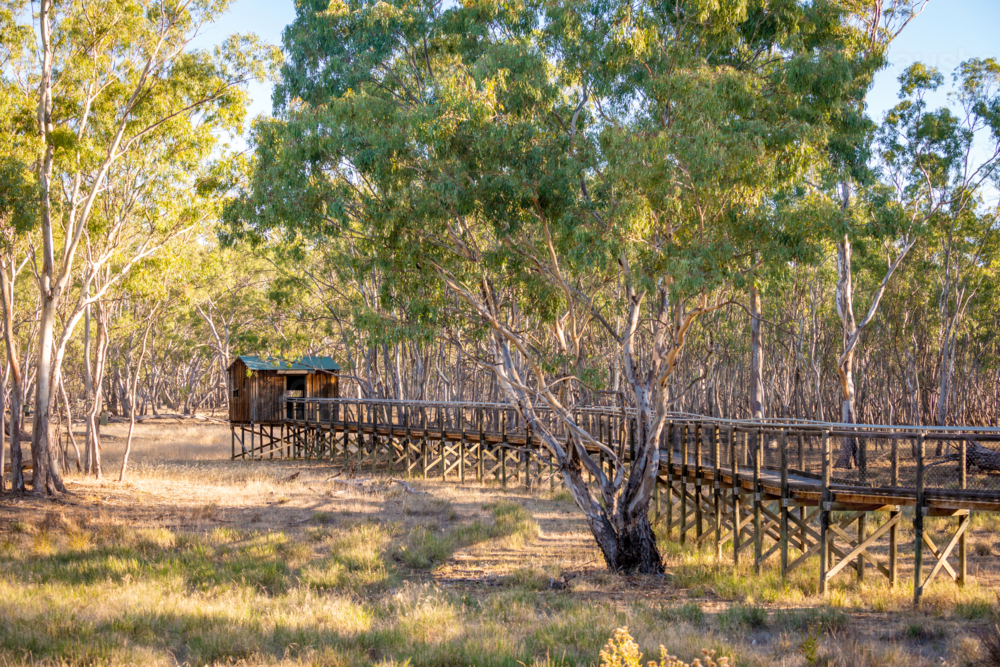 Nhill Boardwalk and Lookout - Australian Stock Image