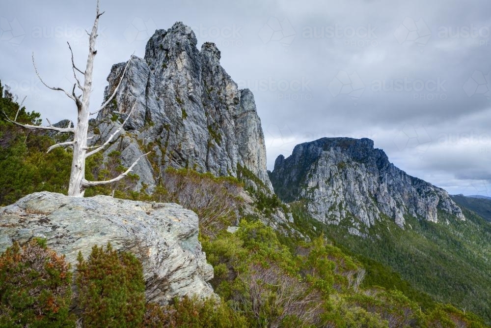 Nicoles Needle and Sharlands Peak - Australian Stock Image