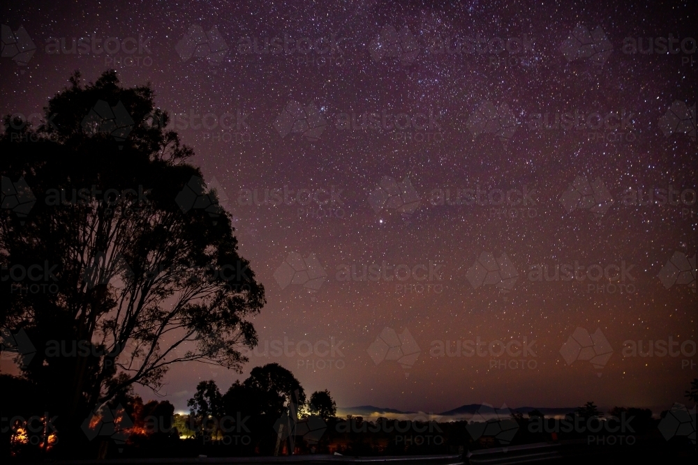 Image of night sky stars with a silhouette of a large tree in frame ...