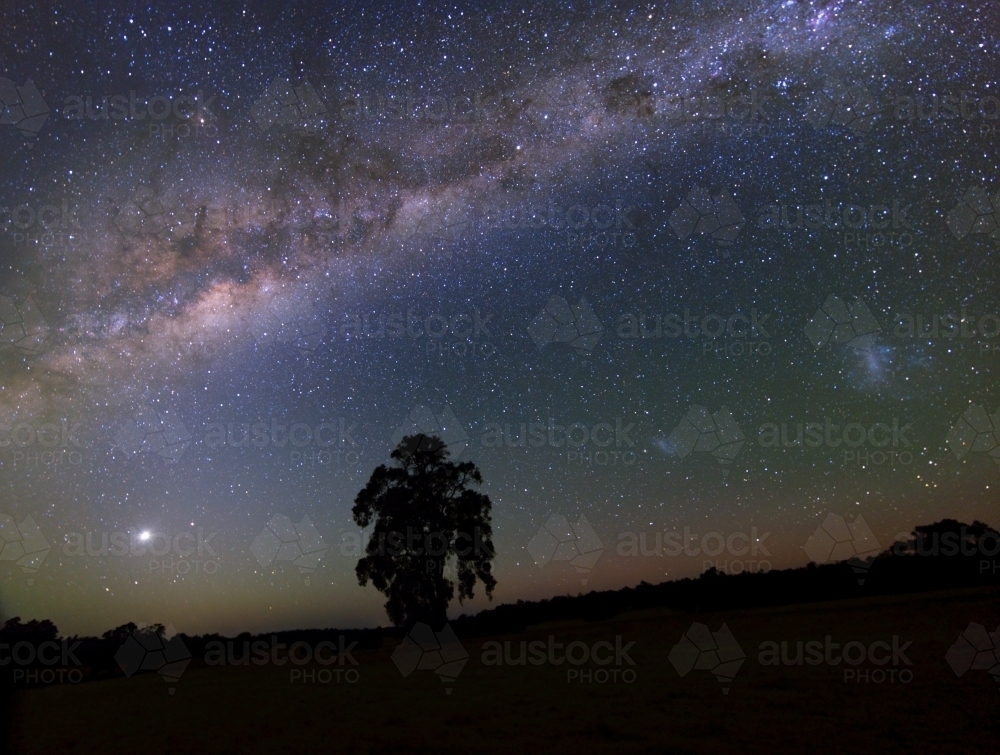 night view of tree in silhouette with milky way in sky - Australian Stock Image