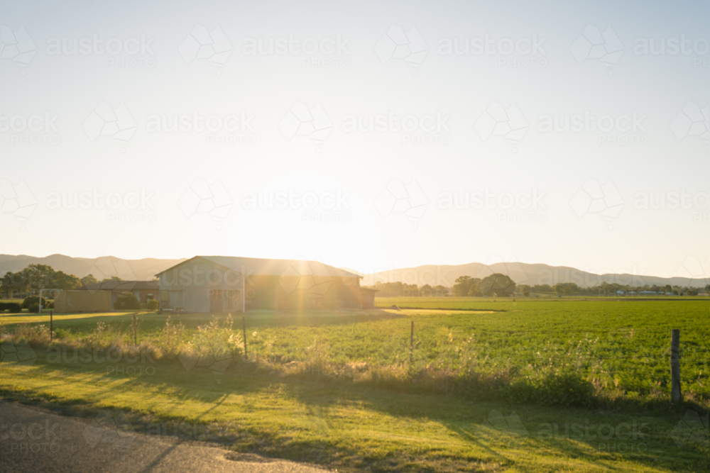 no focus on large hay bathed in golden afternoon light surrounded by lush green pasture - Australian Stock Image