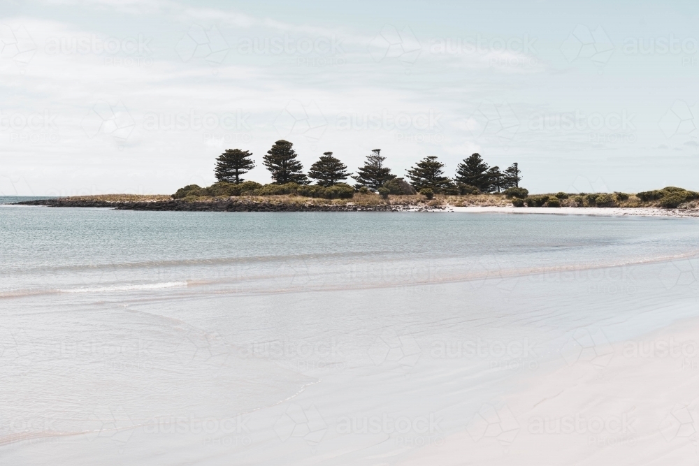 Norfolk pines bay view over Griffith Island - Australian Stock Image