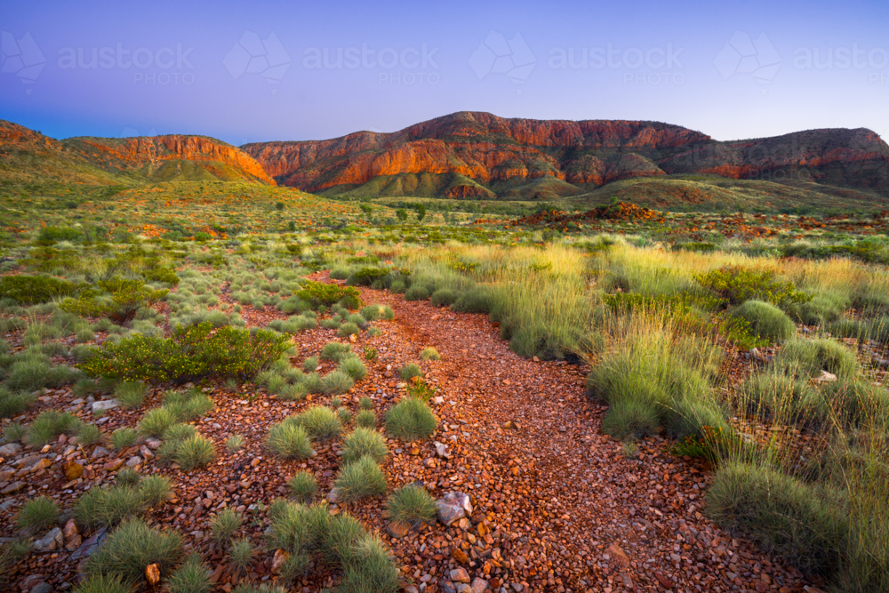 Northern Territory Landscape with path at dawn - Australian Stock Image