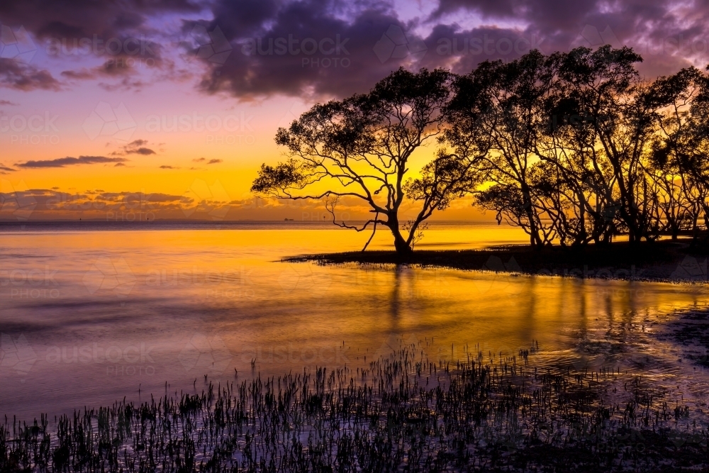 Image of Nudgee Beach Sunrise Austockphoto