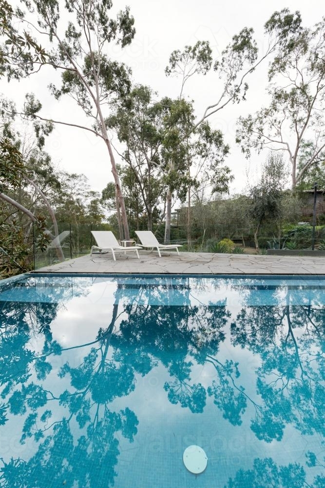 Oasis of an Australian home backyard swimming pool surrounded by native gum trees - Australian Stock Image