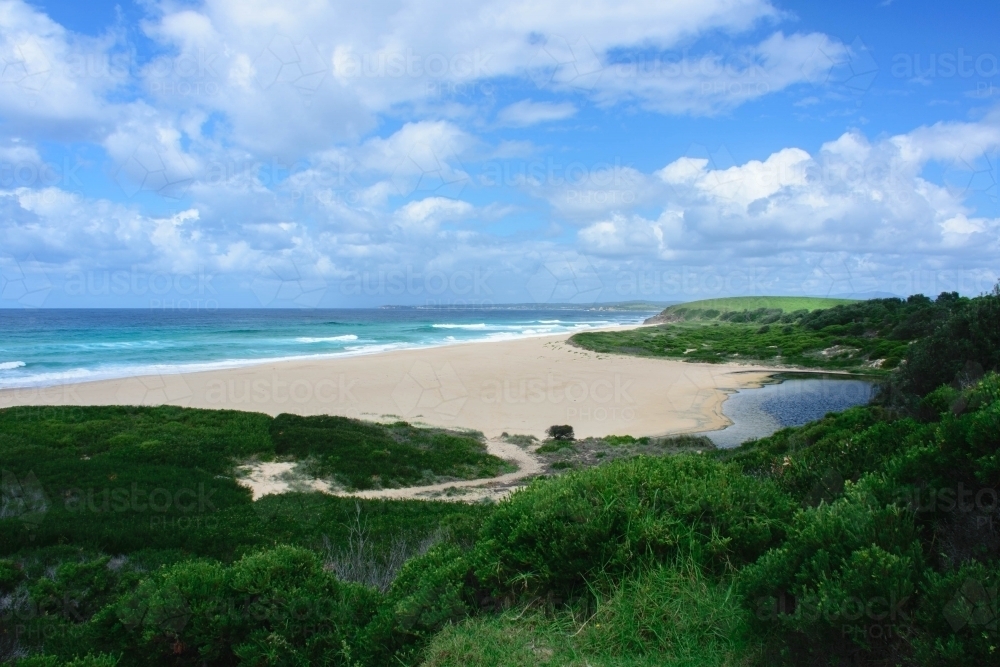 Ocean and beach landscape with green shrubbery in the foreground - Australian Stock Image