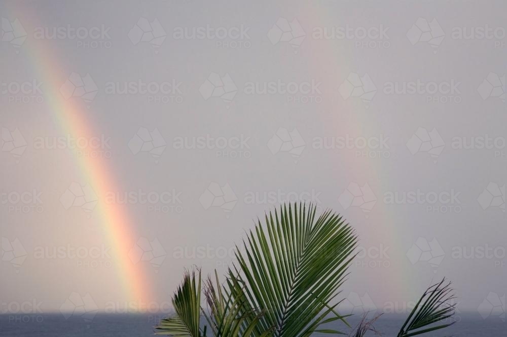 Ocean Double Rainbow and Palm Tree - Australian Stock Image