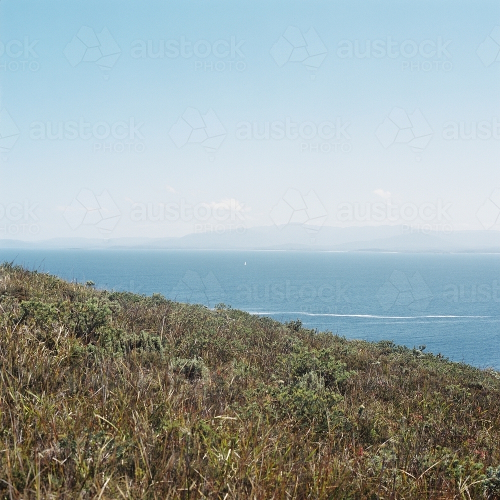 Ocean Landscape with Green Scrub Headland in Foreground - Australian Stock Image