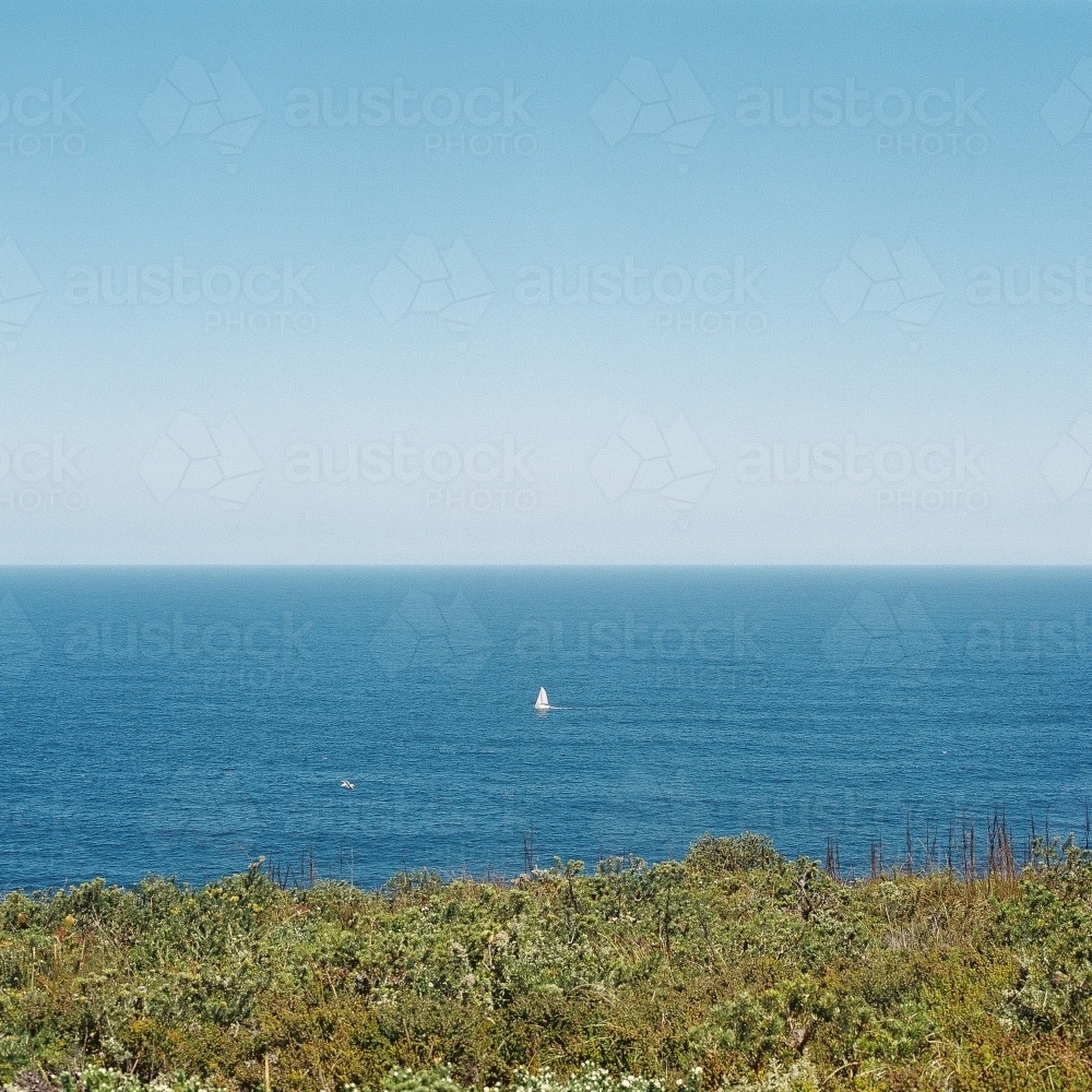 Ocean Landscape with Green Scrub Headland in Foreground - Australian Stock Image