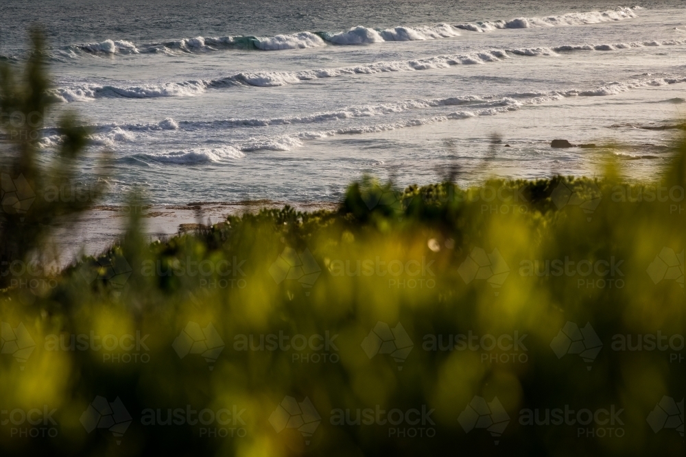 Ocean waves crashing with blurred bushes in the foreground - Australian Stock Image