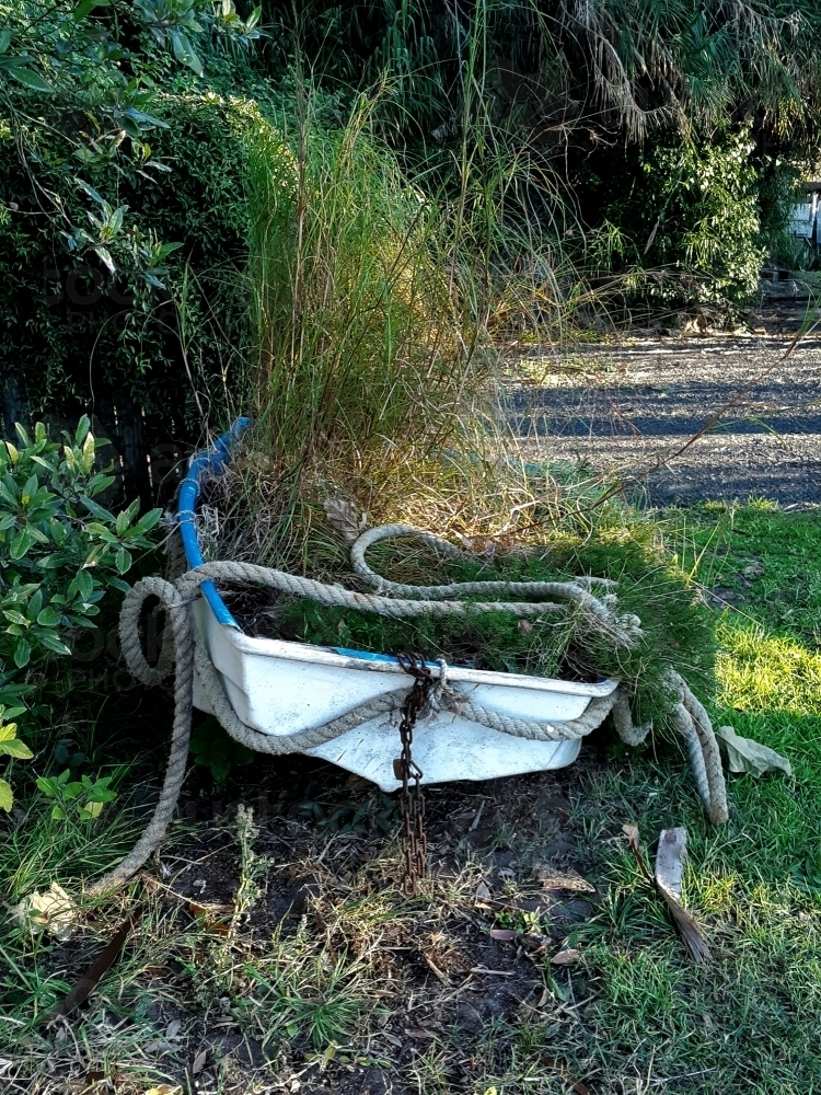 Old boat in garden with grass and weeds growing in it - Australian Stock Image