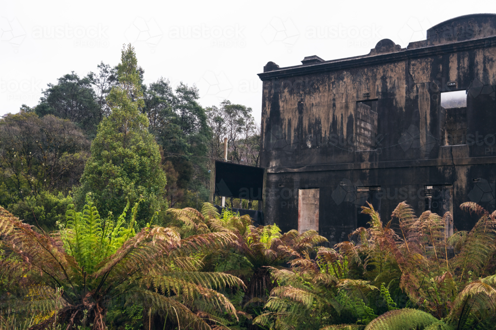 Old dilapidated building surrounded by bush, Tasmania - Australian Stock Image