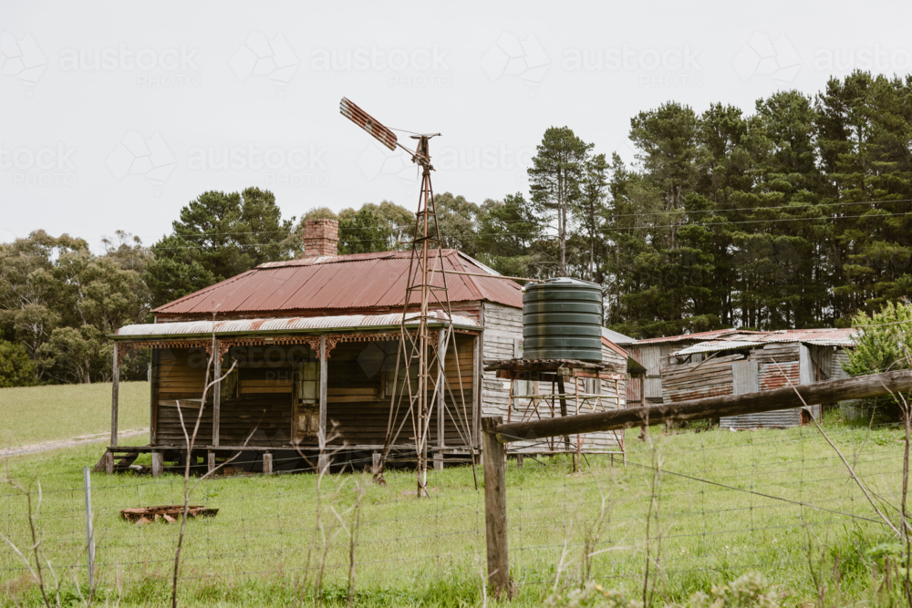 old farm cottage with a water tower tank and pine trees in the background - Australian Stock Image