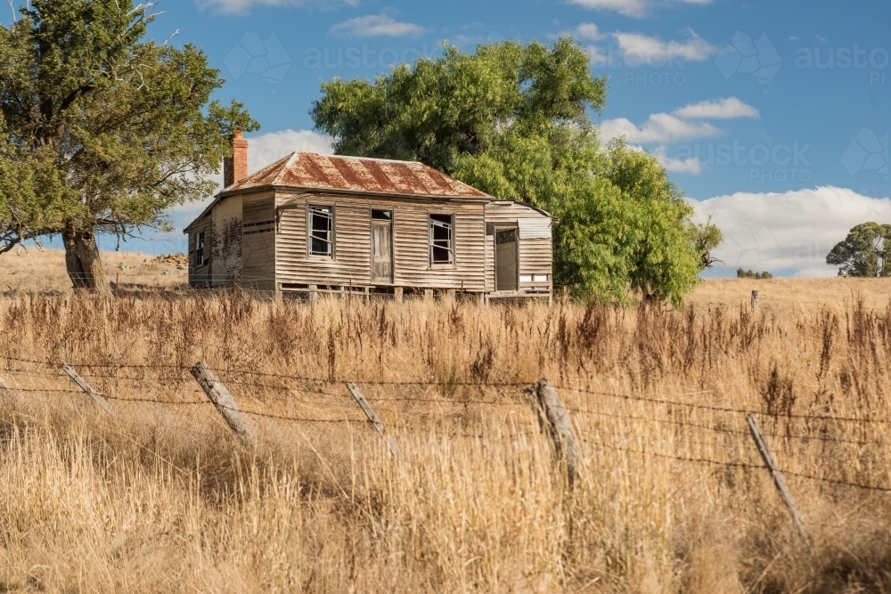 Old farmhouse in dry paddock of long grass - Australian Stock Image