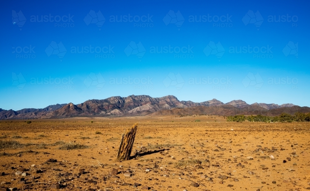 old fence post with mountains in background - Australian Stock Image