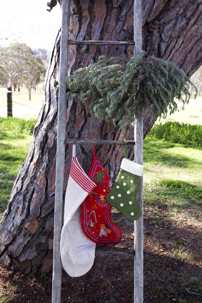 Old ladder with Christmas stockings and decorations in country backyard - Australian Stock Image