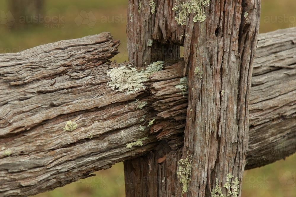 Old lichen covered post and rail fence - Australian Stock Image