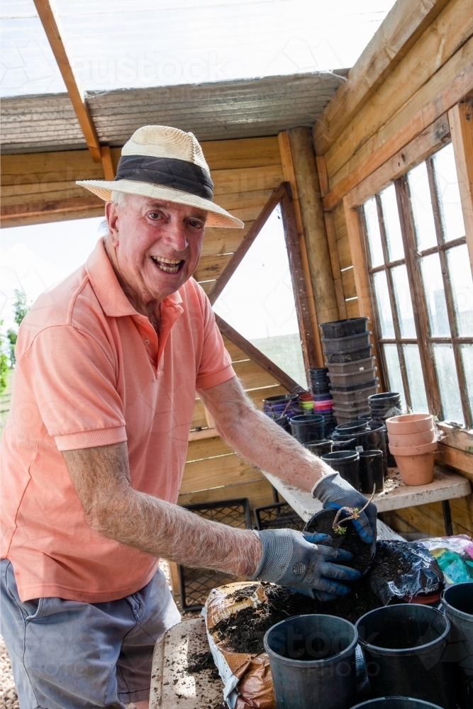 Old man potting a plant - Australian Stock Image