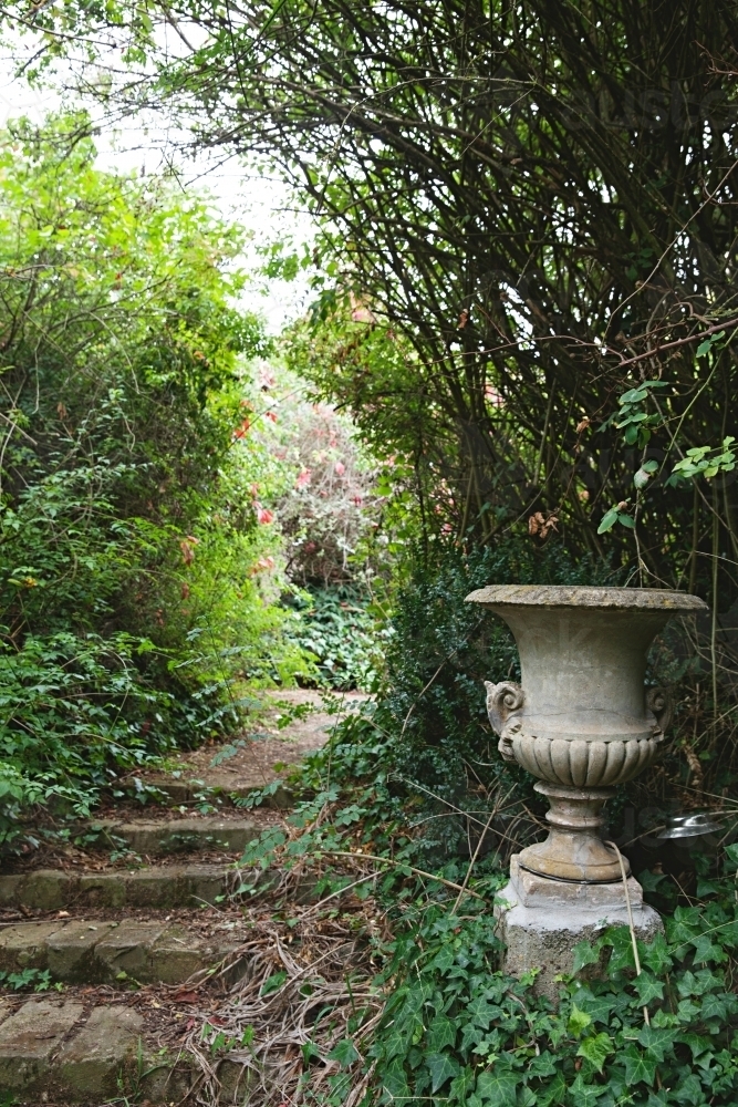 Old overgrown path filled with foliage and ivy - Australian Stock Image