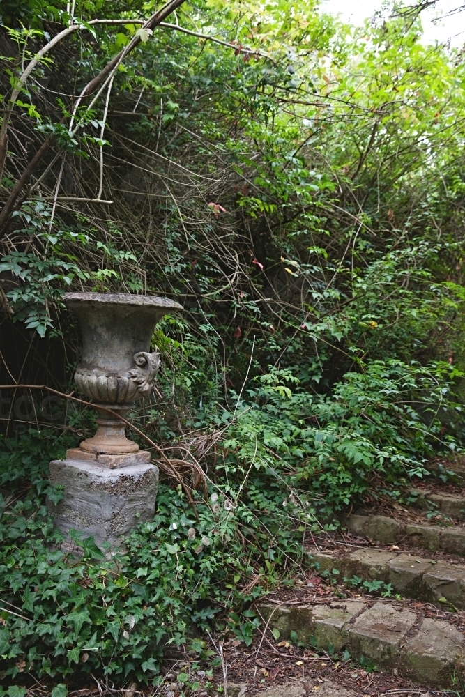 Old overgrown path in garden - Australian Stock Image