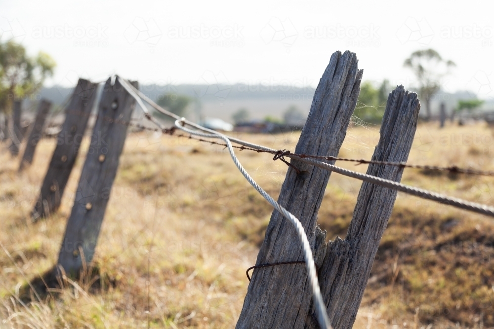 Old posts and wire of fence on farm - Australian Stock Image