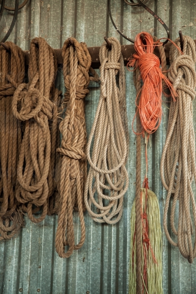Old rope hung on the wall of a shed - Australian Stock Image