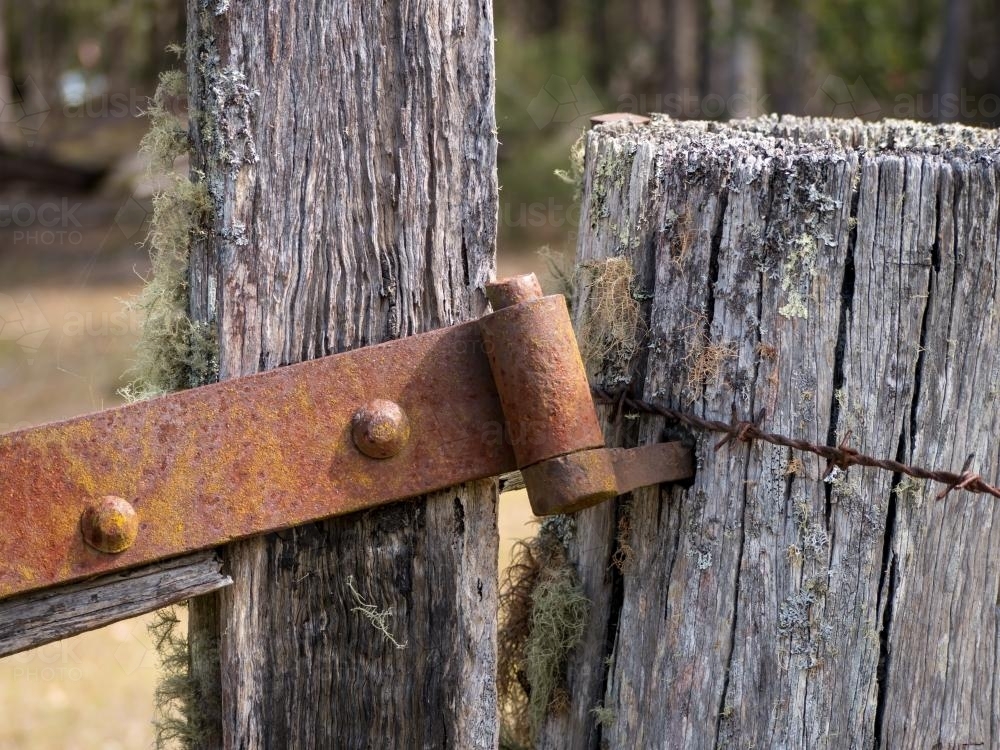 Old rusted gate hinge on an old moss covered fence post - Australian Stock Image
