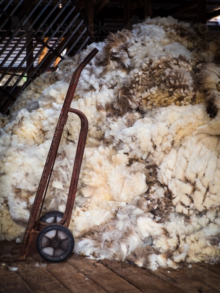 Old rusted trolley and big wool pile in wool shed during shearing - Australian Stock Image
