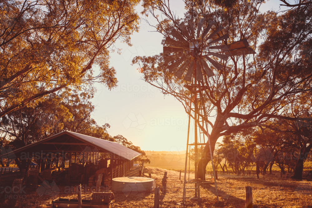 Old rusty windmill on a farm in McLaren Vale at sunset, South Australia - Australian Stock Image