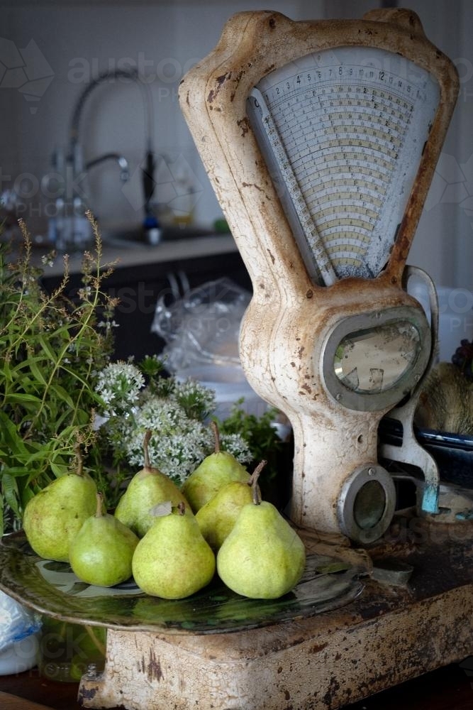 Old Scales with pears - Australian Stock Image