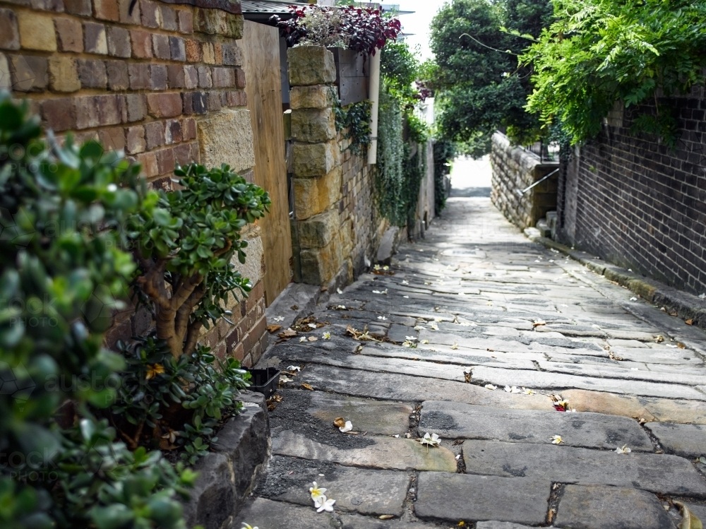 Old urban backstreet in Sydney, NSW - Australian Stock Image