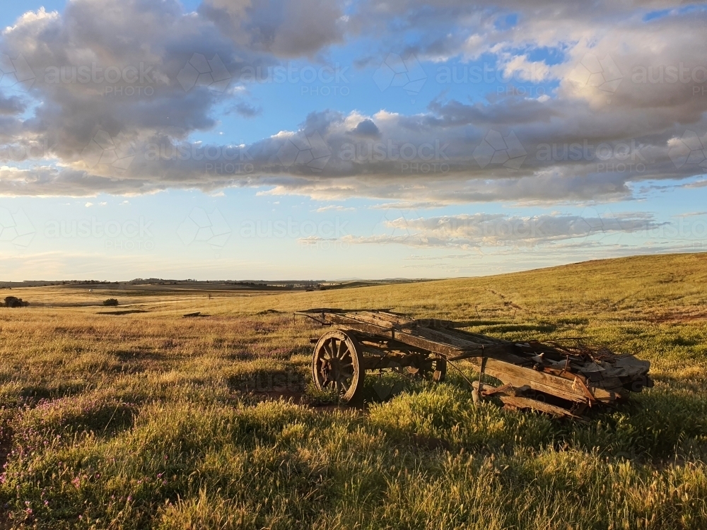 old wagon in paddock at sunset - Australian Stock Image