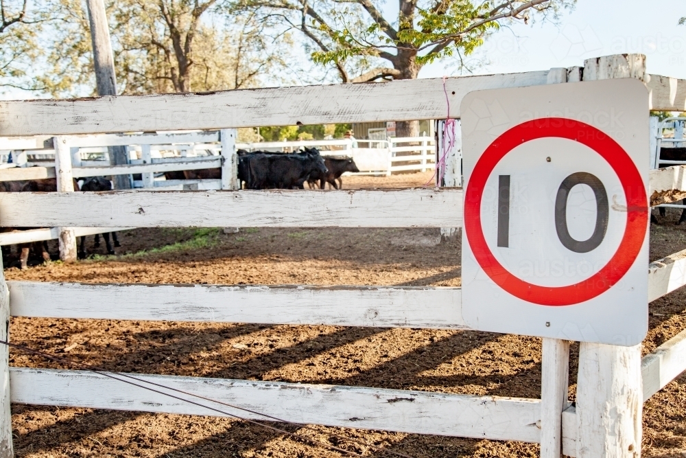 Old white post and rail farm fence of cattle yards at Singleton Showground - Australian Stock Image