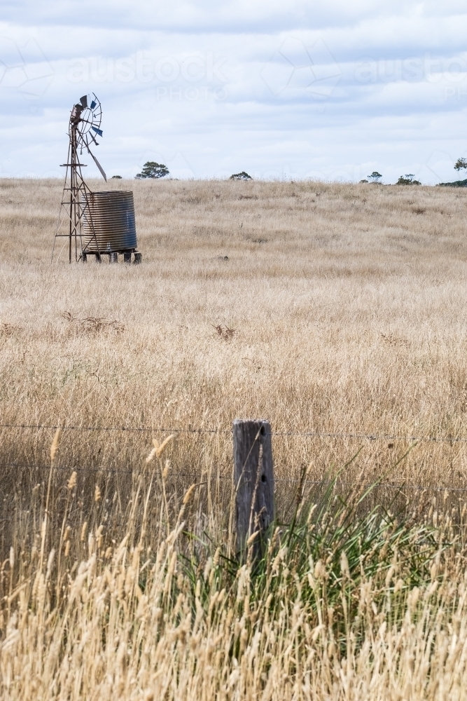 old windmill and old fence with long dry grass in paddock - Australian Stock Image