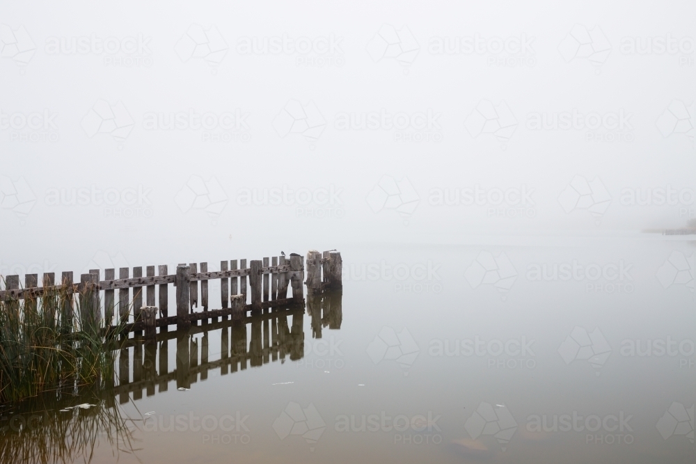 old wooden fence in river on a foggy morning - Australian Stock Image