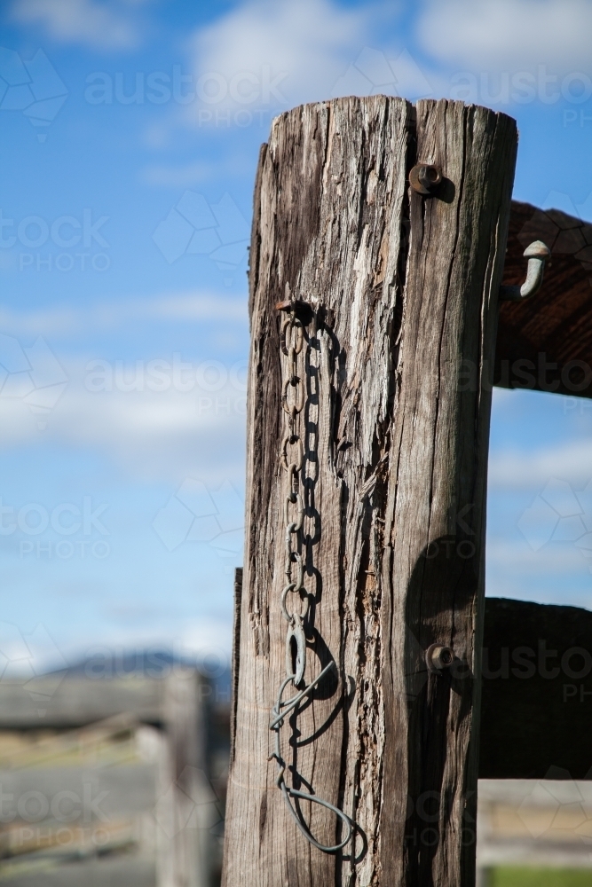 Old wooden fence post and chain in cattle yard - Australian Stock Image
